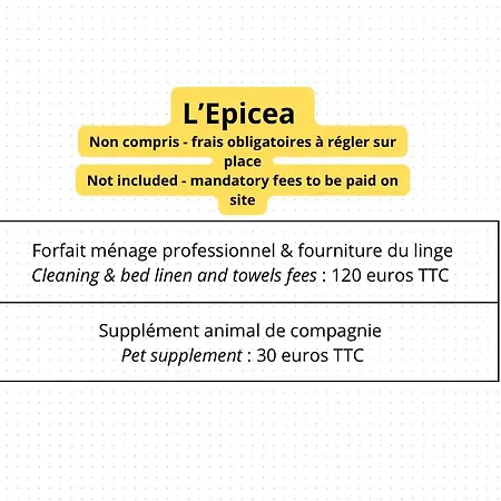 Epicea, Bel Avec Balcon Au Centre Apartment Gerardmer